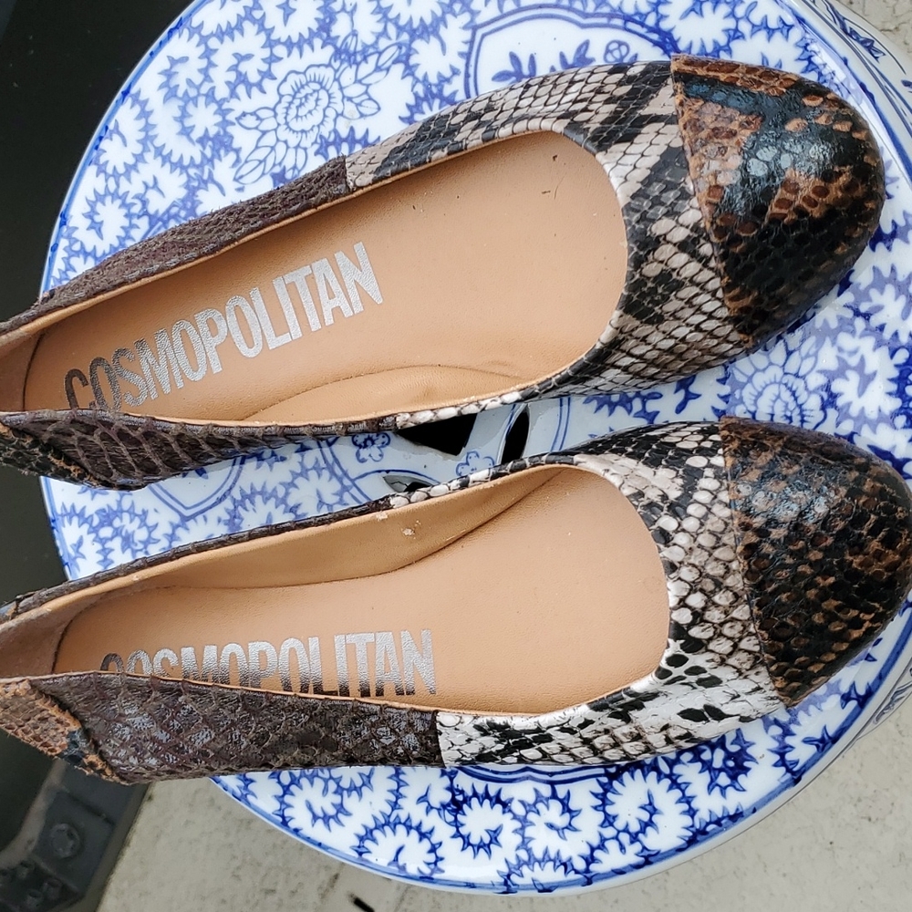 Cosmopolitan Shoes